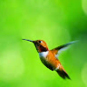 Meet your Posher, Cathy